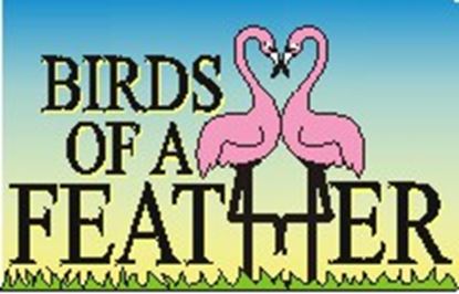 Picture of Birds Of A Feather cover art.