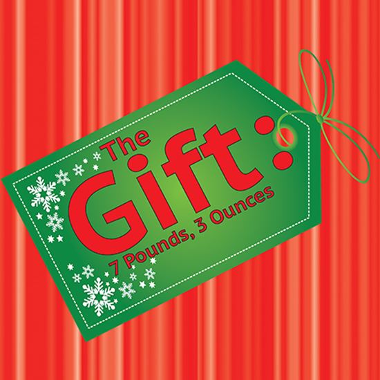 Picture of Gift: 7 Pounds, 3 Ounces cover art.