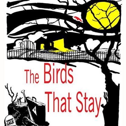 birds-that-stay